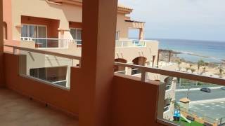 Elba Sara Beach amp Golf Resort FuerteventuraJunior Suite with Sea View [upl. by Nabalas872]