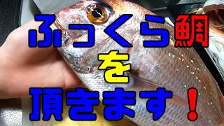 鯛をウロコも取らないで焼くの？ふっくら頂きます！ [upl. by Gypsy605]