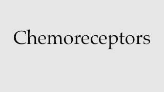 How to Pronounce Chemoreceptors [upl. by Etnwahs380]