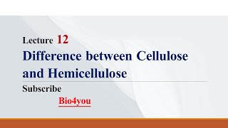 Difference between Cellulose and Hemicellulose  Lecture 12  Urdu [upl. by Biegel]