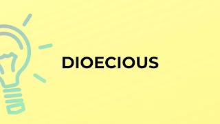 What is the meaning of the word DIOECIOUS [upl. by Gayner]