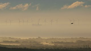 Wissenswertes über Nebel [upl. by Lenora180]