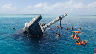 Maafushi Island Maldives excursions Real Break tour Shark snorkeling Ship Wrek Sandbank Dolphin [upl. by Vittoria]