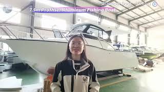 75m Profisher Aluminum Fishing Boat w Handbasin Stove Table [upl. by Aneehsor]