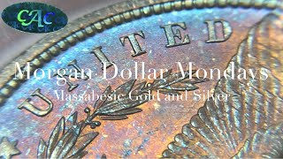 GUESS THE GRADE  1879 TONED DOLLARS  “MORGAN DOLLAR MONDAYS” with MASSABESIC GOLD and SILVER [upl. by Eidissac]