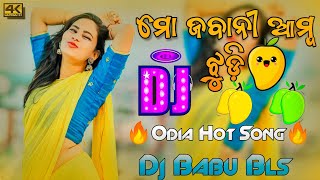 Mo Jabani Amba Jhudi Odia Song Dj  Odia Dj Song  Dj Babu Bls [upl. by Cann310]