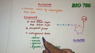 Nucleotide  Composition  purines amp pyrimidines [upl. by Gun]