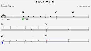 AKVARYUMGPlay AlongGuitarKeyboardFluteMelodicaViolinUkuleleRecorder [upl. by Wyatan410]