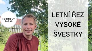 🌳 Dva způsoby letního řezu švestek🌳 [upl. by Maurizio394]