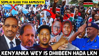 Kenyaanki Oo Hada Runta isu Sheegay lkn Somalidii Kenya Ayaa la yaaban Somalidii Kale Hala Raafo [upl. by Laeria]