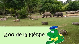 Zoo de la Flèche 2022 [upl. by Nollaf]