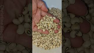 Cowpea beans recipe  Ganito pala ang mga benipisyo nito kaya ang sarap nito😋 by Christine Blogger [upl. by Aihseuqram]