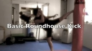 Basic Roundhouse Kick [upl. by Atinehc]