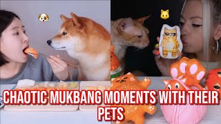 the most CHAOTIC mukbanger moments with their pets [upl. by Nnylecyoj]