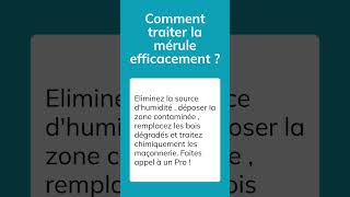 Comment traiter la mérule efficacement [upl. by Maffa909]