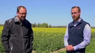 Gårdsbeök på Fimmerstad med utsädesodlare Johan Klostergård [upl. by Landel]