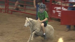 Mutton Busting  Iowa State Fair 2012 [upl. by Anawed761]