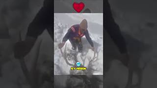 Soldier Rescue Life of Frozen Deer 😱 [upl. by Natek]