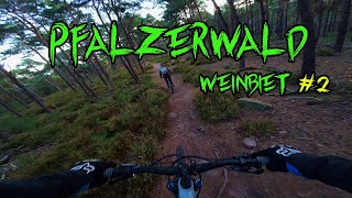 Pfälzerwald Trails im geilsten Wald Deutschlands Part 2 [upl. by Htennaj]