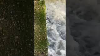 Storm Isha rushing white water finale [upl. by Murdock]