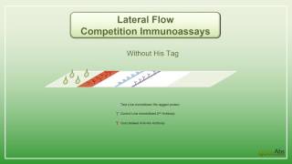 Competition Lateral Flow Immunoassay by Qoolabs [upl. by Ioab]