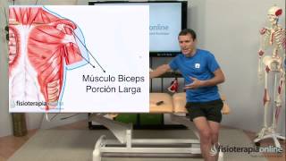 Tratamiento de tendinitis o tendinosis del hombro  Fisioterapia Bilbao [upl. by Hayyifas965]