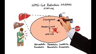 Pharmacology  DRUGS FOR HYPERLIPIDEMIA MADE EASY [upl. by Okir]