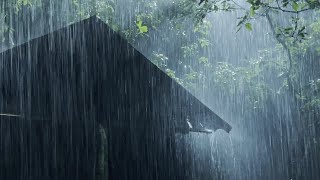 Sleep Instantly Within 3 Minutes with Heavy Rain amp Thunder on Ancient House in Foggy Forest at Night [upl. by Ogg]