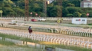 GP Turfe Gaucho 2024 [upl. by Moon]