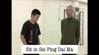 Wing Chun Pole exercises demonstrated by Chu Shong Tin English subtitled [upl. by Eetnahc422]