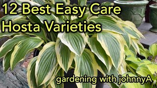 12 Best Easy Care Hostas  Must Have Fast Growing Hosta Varieties for Garden and Container [upl. by Lesna]