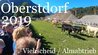 OBERSTDORF Viehscheid  Almabtrieb [upl. by Suoicserp]