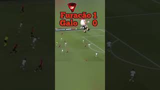 Furacão depena galo [upl. by Anella96]