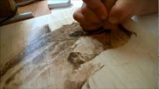 Pyrography art by jean bouick13Clydesdale horse [upl. by Bernice]