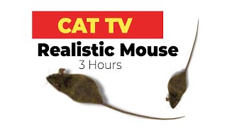 CAT GAMES  Realistic Mouse HD  3 HOURS Video for Cats amp Dogs to watch [upl. by Peirsen]