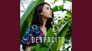 Despacito [upl. by Bethesde]