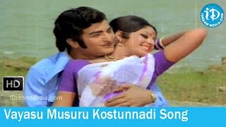 Yamagola Movie Songs  Vayasu Musuru Kostunnadi Song  NTR  Jayapradha [upl. by Oisangi]