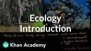 Ecology introduction  Ecology  Khan Academy [upl. by Gautier]