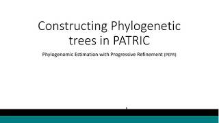 PATRIC Phylogenetic Tree Webinar 2017 11 30 [upl. by Nay]