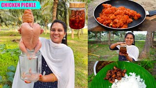 CHICKEN PICKLE  சிக்கன் ஊறுகாய் செய்முறை  Banana Leaf Cooking [upl. by Stovall]