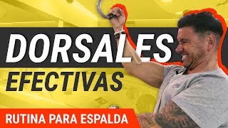 5 Mejores Ejercicios De Dorsales  Rutina De Entrenamiento [upl. by Cailean368]