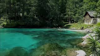 Relaxamento Profundo para Meditar e Relaxar com Sons da Natureza e Água [upl. by Elisa]