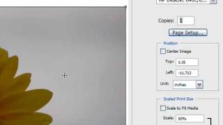 Print an Image in Photoshop CS3 [upl. by Nwahsiek]