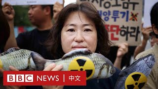 福島核污染水排放引韓國魚販不安：想到沒有顧客就「很心痛」 － BBC News 中文 [upl. by Semela205]