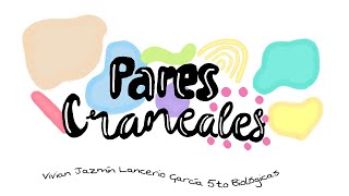 Evaluación de los 12 pares craneales 🧠 jazmin lancerio [upl. by Ariik]