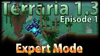 Terraria 13 Expert Mode  Episode 1  Daah Mer Gahwd [upl. by Arammahs]