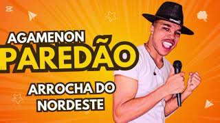 Agamenon arrocha viralvideo forroepiseiropraparedao cantor nordeste [upl. by Ahsaten]