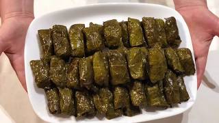 Japrak me gjethe rrushi receta tradicionale  Stuffed Grape Leaves With Rice and Herbs [upl. by Luby]