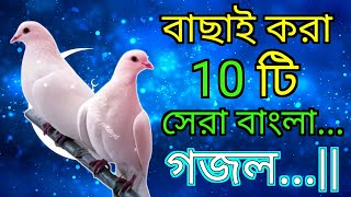 বাছাইকরা ১০ টি সেরা বাংলা গজল  ইসলামিক গজল শান্তির বাণী EarningWallah gojol [upl. by Aratihc]