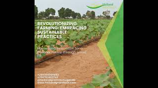 agriculture dripirrigation agri farming agro agriscience agronomy gardening horticulture [upl. by Ynnol]